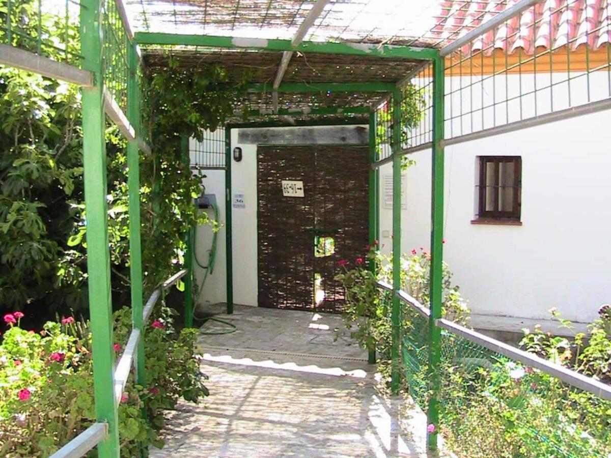 Finca La Tacita - Petunia 科尼尔-德拉弗龙特拉 外观 照片