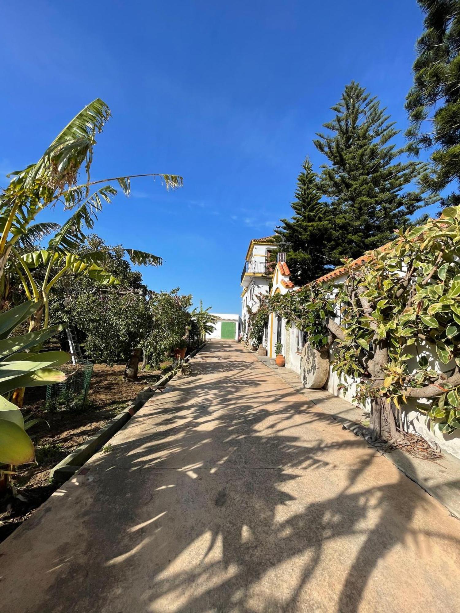 Finca La Tacita - Petunia 科尼尔-德拉弗龙特拉 外观 照片